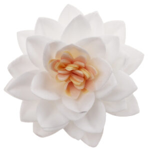 .Flor Lótus hóstia Branca 7cm