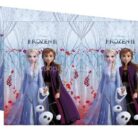 frozen-2-toalha.jpg