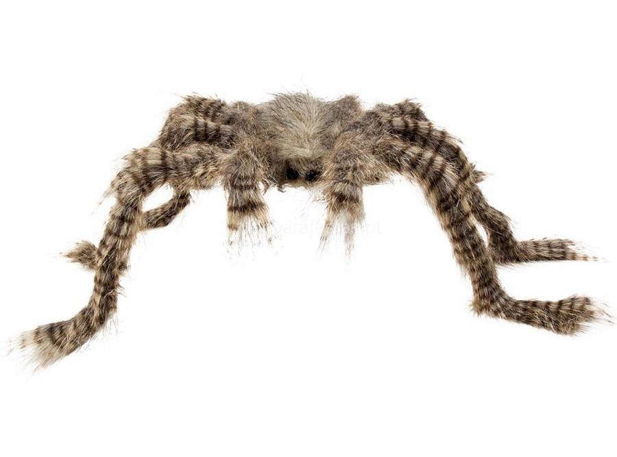 halloween-aranha-peluda-malhada.jpg halloween-aranha-peluda-malhada.jpg