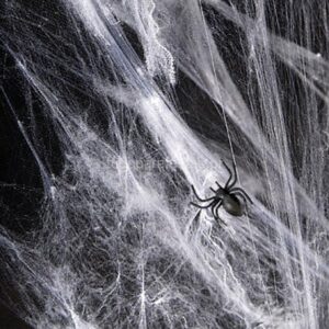 Teia Aranha 80g