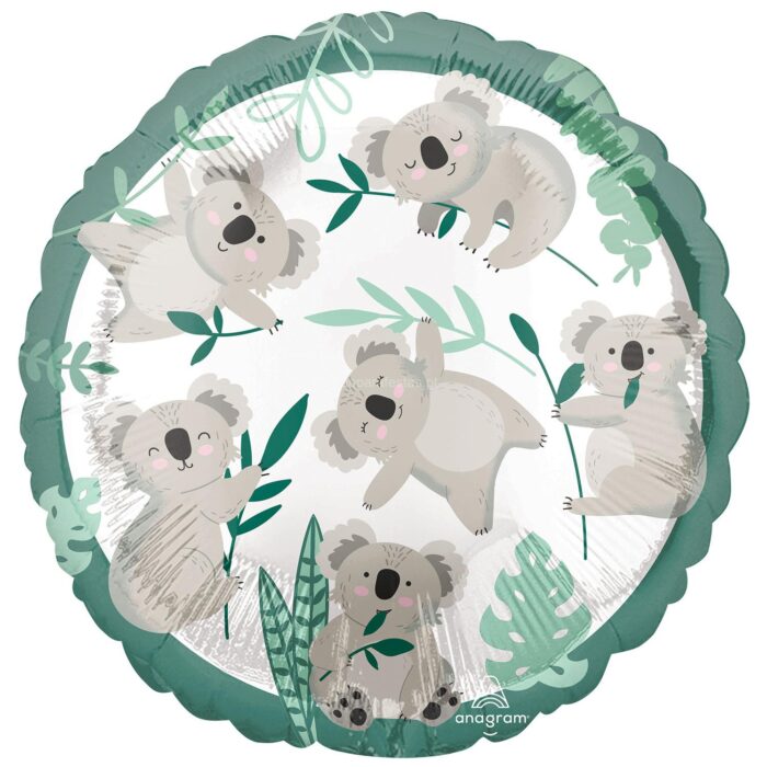 koala-balao-standard.jpg