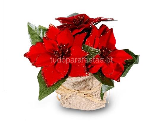 natal-flores-natal-com-sarapinheira.jpg natal-flores-natal-com-sarapinheira.jpg