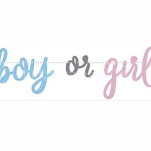 Faixa Boy or Girl recortado