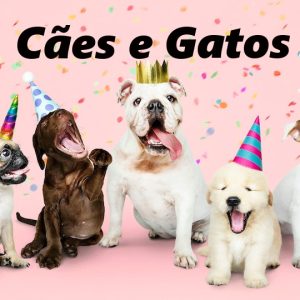 Animais de Estimação